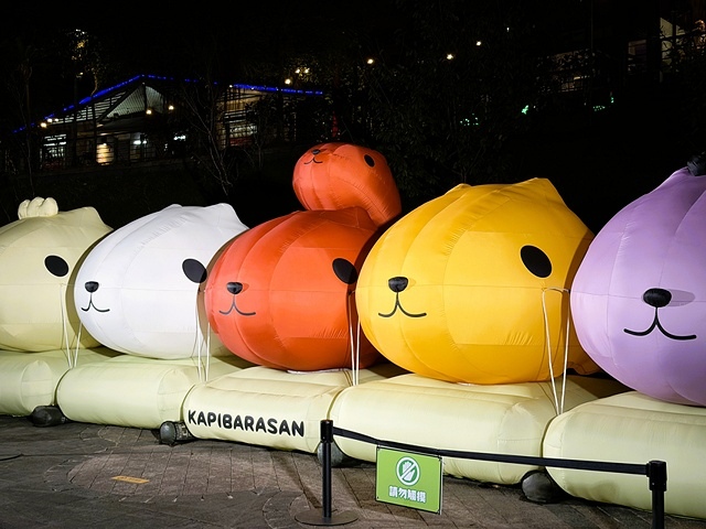 2025碧潭地景裝置展呆在碧潭の水豚君,活動日期:2025