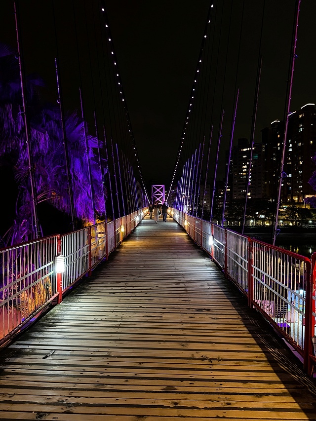 2025碧潭地景裝置展呆在碧潭の水豚君,活動日期:2025