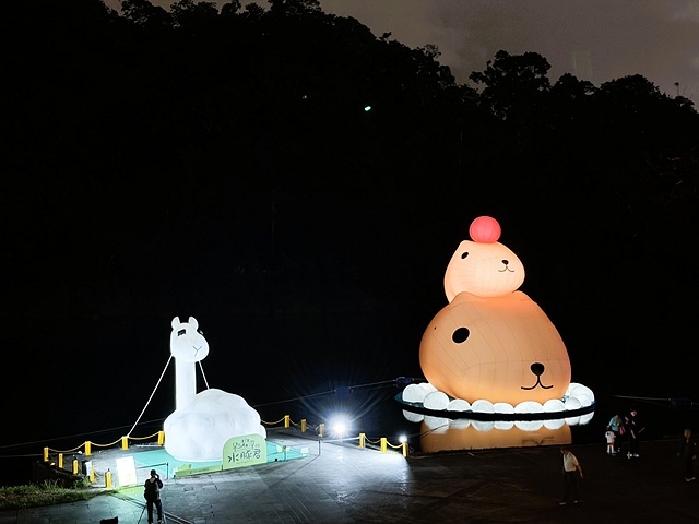 2025碧潭地景裝置展呆在碧潭の水豚君,活動日期:2025