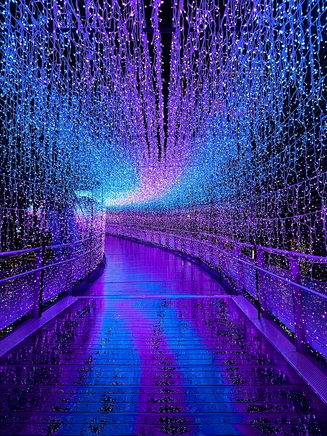 2025新北耶誕城夢幻開城🎄,一起走進馬戲嘉年華的奇幻世界, 2025新北耶誕城夢幻開城🎄,一起走進馬戲嘉年華的奇幻世界,