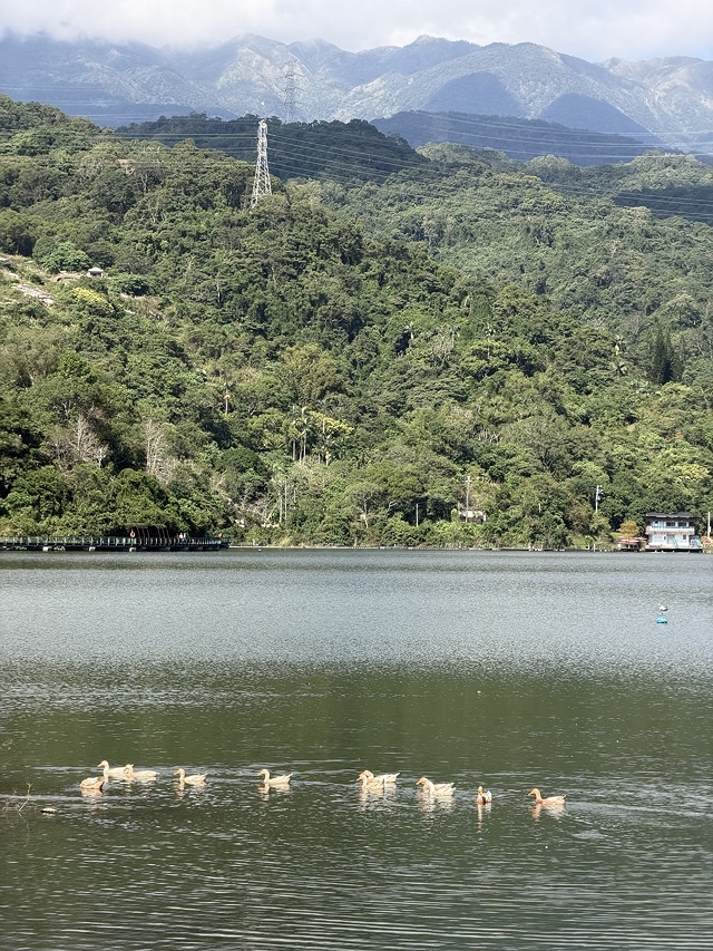 2025宜蘭龍潭湖的湖畔風光,礁溪漁田村品嚐家常料理餐館,湯 2025宜蘭龍潭湖的湖畔風光,礁溪漁田村品嚐家常料理餐館,湯