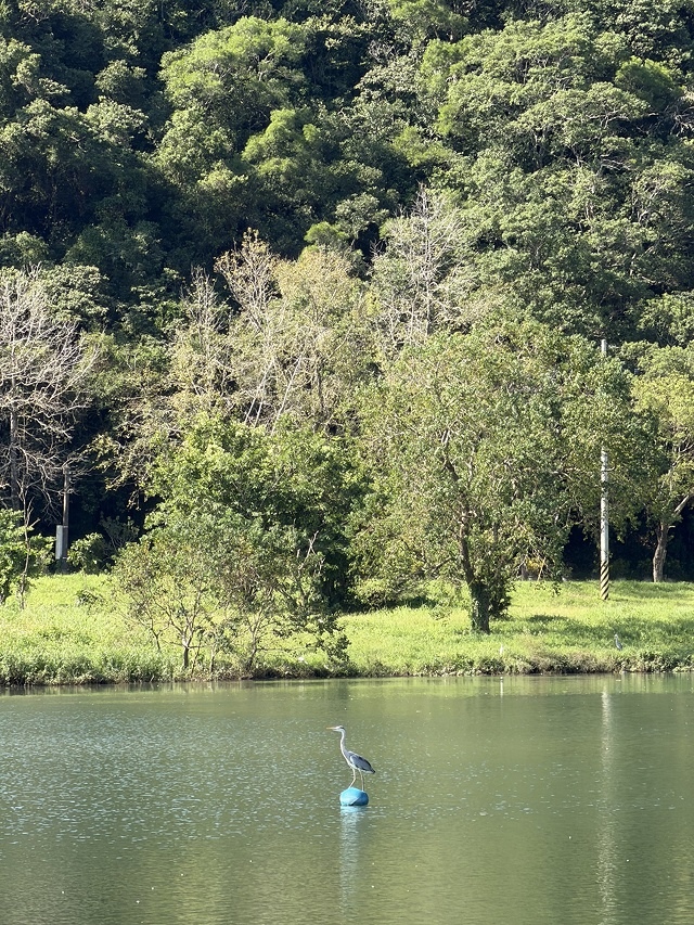 2025宜蘭龍潭湖的湖畔風光,礁溪漁田村品嚐家常料理餐館,湯 2025宜蘭龍潭湖的湖畔風光,礁溪漁田村品嚐家常料理餐館,湯