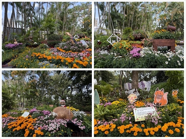 2025士林官邸菊展、主題:藝菊圓夢,活動日期:2025/1 2025士林官邸菊展、主題:藝菊圓夢,活動日期:2025/1