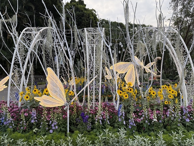 2025士林官邸菊展、主題:藝菊圓夢,活動日期:2025/1 2025士林官邸菊展、主題:藝菊圓夢,活動日期:2025/1