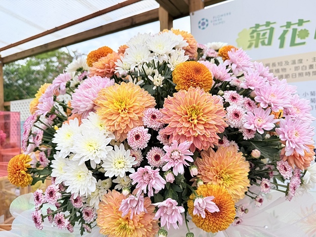 2025士林官邸菊展、主題:藝菊圓夢,活動日期:2025/1 2025士林官邸菊展、主題:藝菊圓夢,活動日期:2025/1