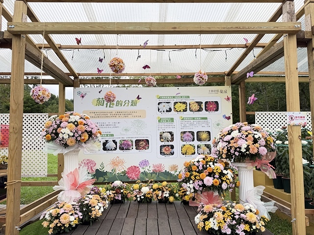 2025士林官邸菊展、主題:藝菊圓夢,活動日期:2025/1 2025士林官邸菊展、主題:藝菊圓夢,活動日期:2025/1