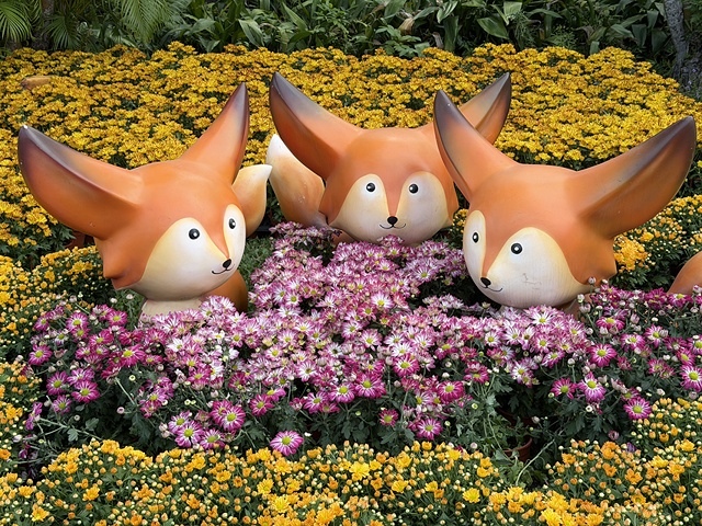 2025士林官邸菊展、主題:藝菊圓夢,活動日期:2025/1 2025士林官邸菊展、主題:藝菊圓夢,活動日期:2025/1