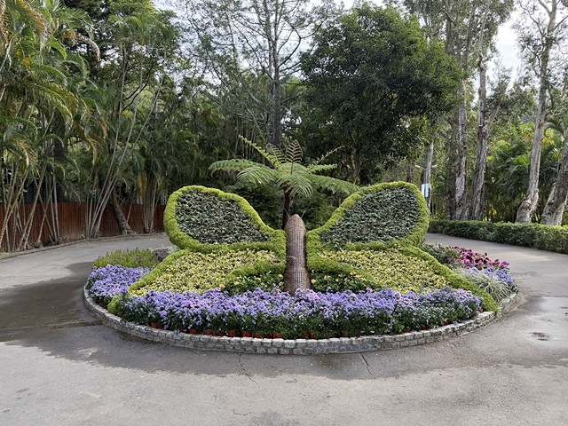 2025士林官邸菊展、主題:藝菊圓夢,活動日期:2025/1 2025士林官邸菊展、主題:藝菊圓夢,活動日期:2025/1