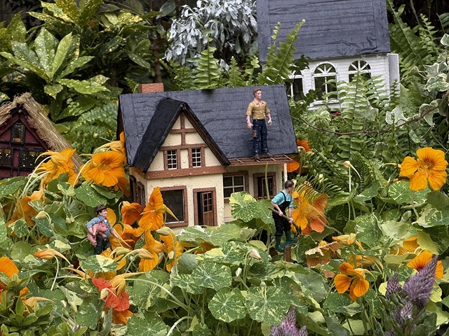 2025士林官邸菊展、主題:藝菊圓夢,活動日期:2025/1 2025士林官邸菊展、主題:藝菊圓夢,活動日期:2025/1