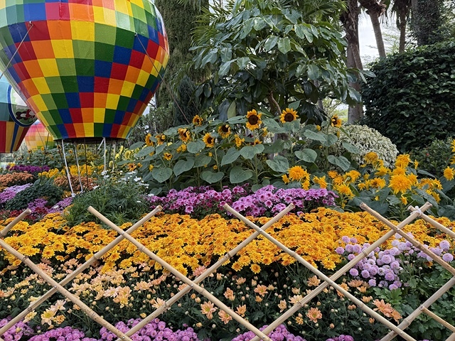 2025士林官邸菊展、主題:藝菊圓夢,活動日期:2025/1 2025士林官邸菊展、主題:藝菊圓夢,活動日期:2025/1