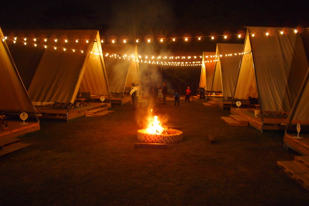P1017571.JPG