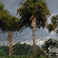 110409-Thunderstorm, Florida.jpg