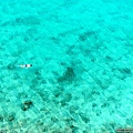 110618-Snorkeler, St. Thomas.jpg