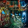 110313-Sunken Ship, Key Largo.jpg