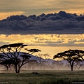 101218-Serengeti, Tanzania.jpg