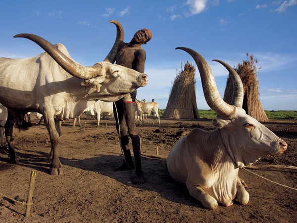 110314-Dinka Cattle Camp, Sudan.jpg