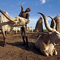 110314-Dinka Cattle Camp, Sudan.jpg