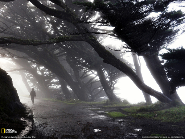 101207-Point Reyes, California.jpg