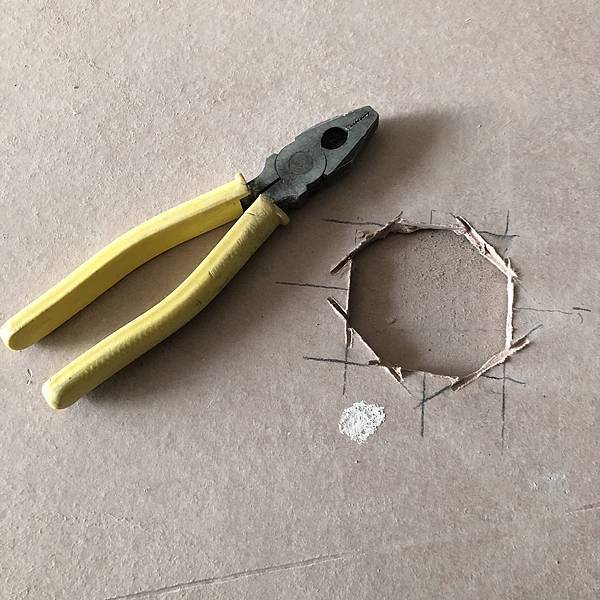 上工41天 花果山 自主