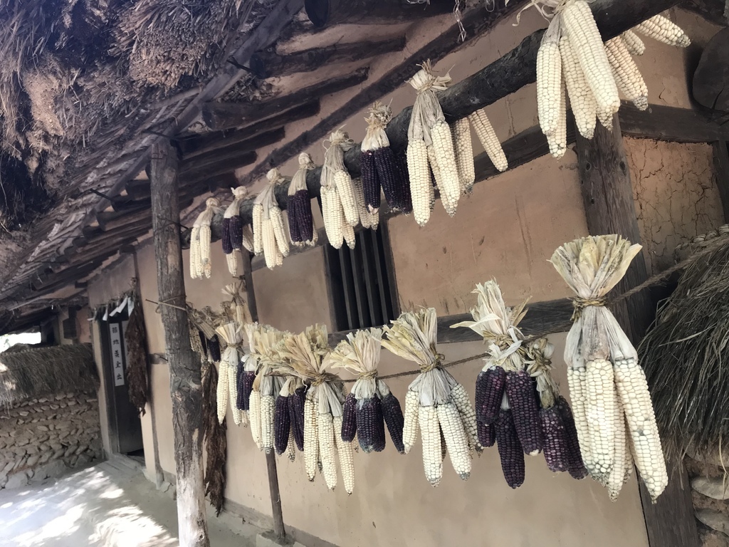 IMG_5786.JPG IMG_5786.JPG