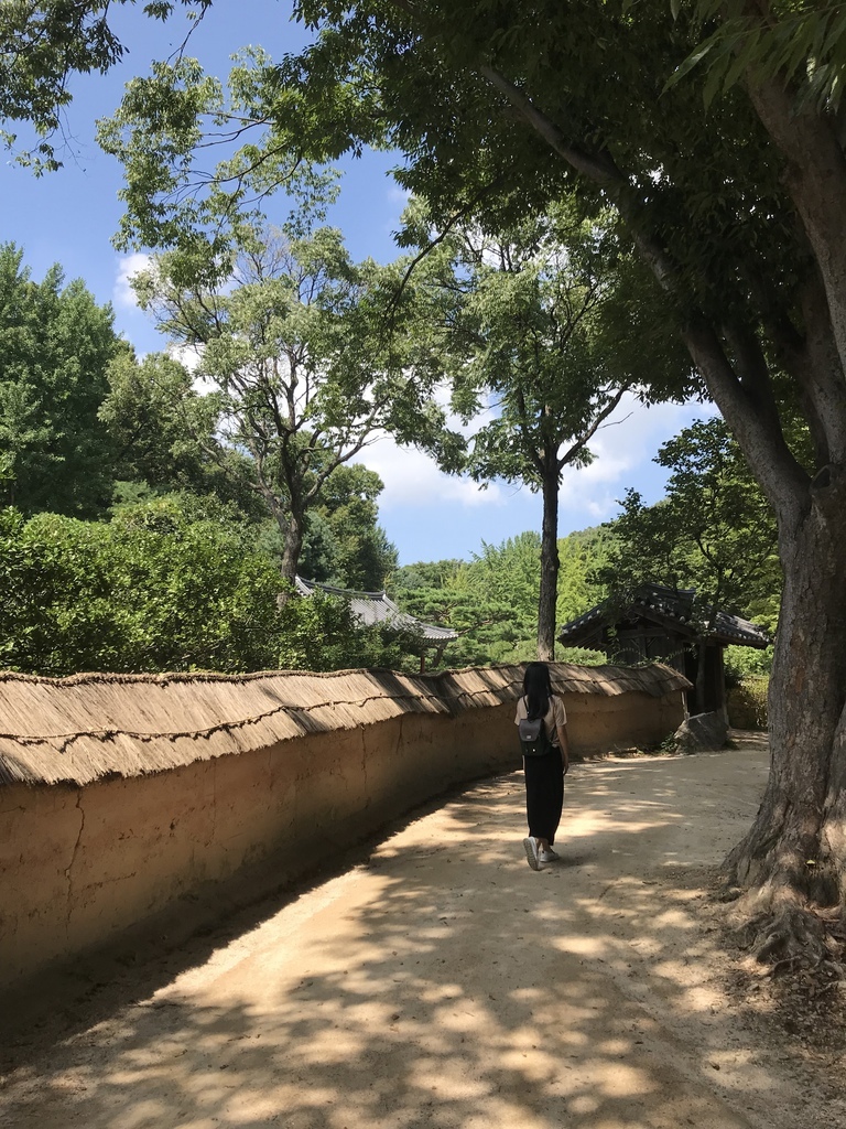 IMG_5869.JPG IMG_5869.JPG