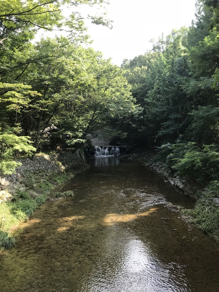 IMG_5969.JPG IMG_5969.JPG