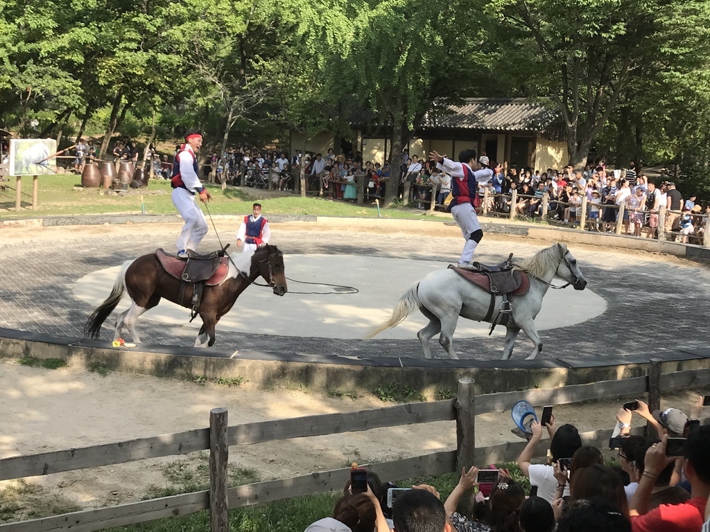 IMG_6012.JPG IMG_6012.JPG