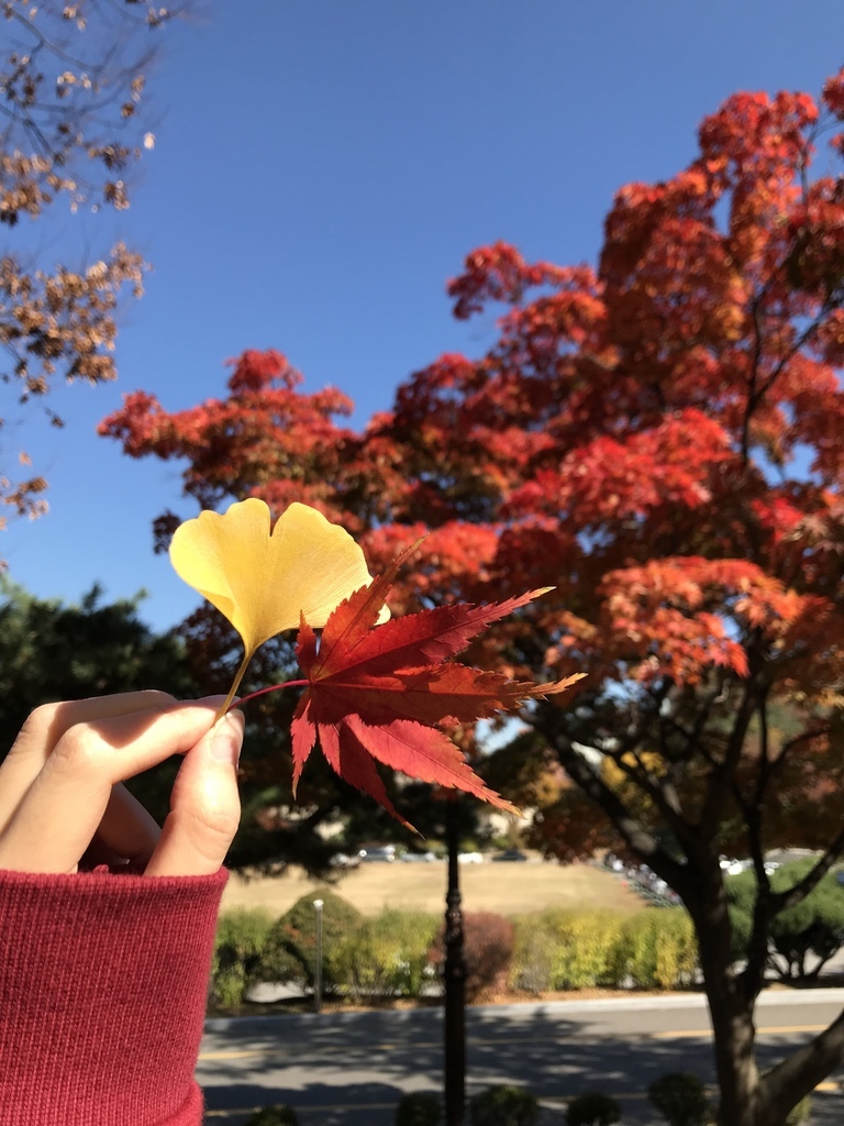 IMG_8562.JPG IMG_8562.JPG