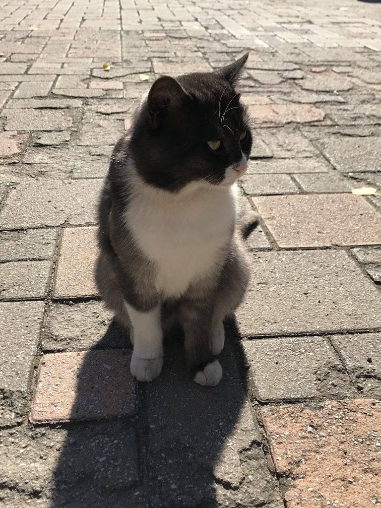 IMG_8584.JPG IMG_8584.JPG