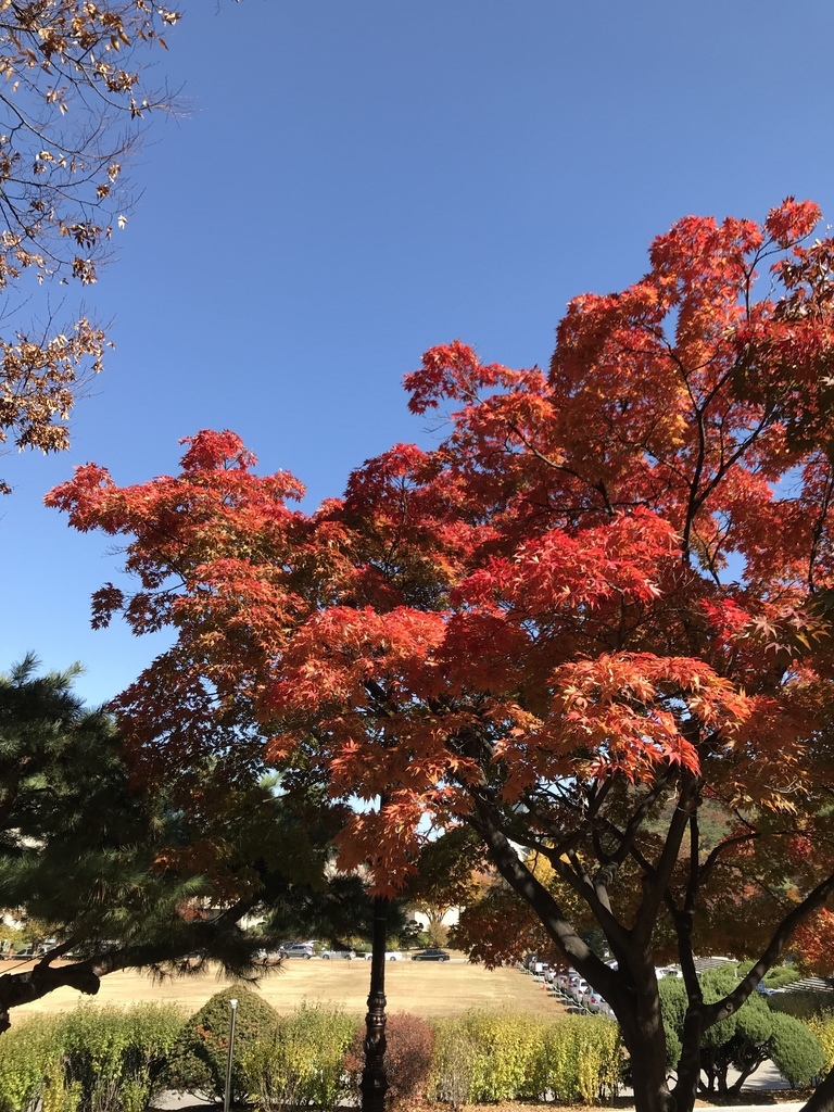 IMG_8563.JPG IMG_8563.JPG