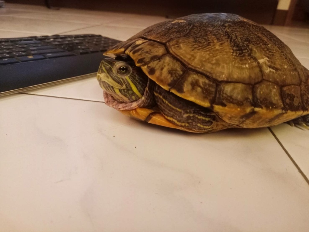 214815.jpg 214815.jpg