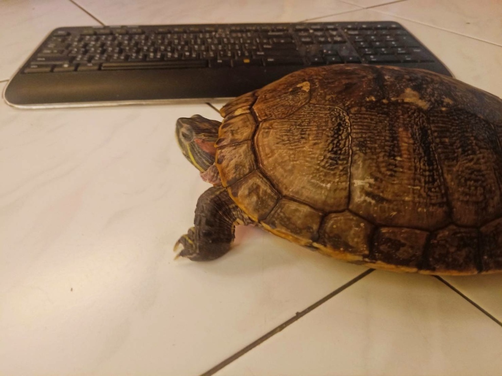 214817.jpg 214817.jpg