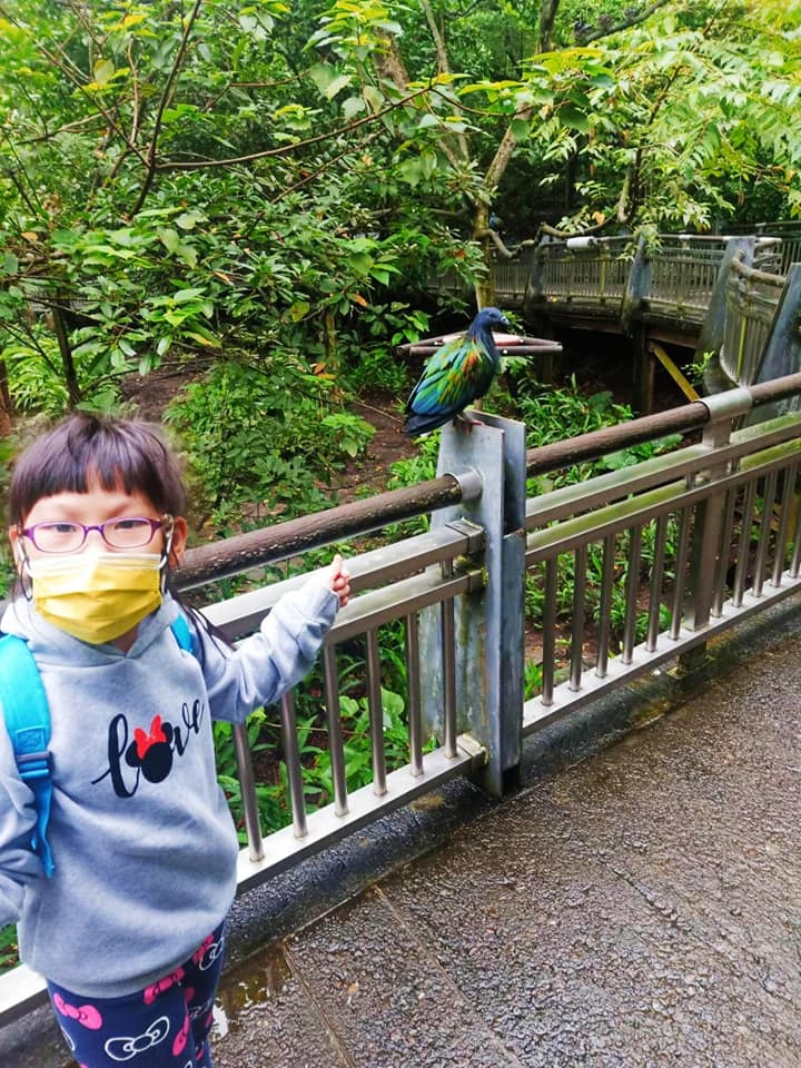 2021.11.14台北木柵動物園 親子遊 來給動物看 跑跑運動255102892_4889151171109107_8077390786598074114_n.jpg