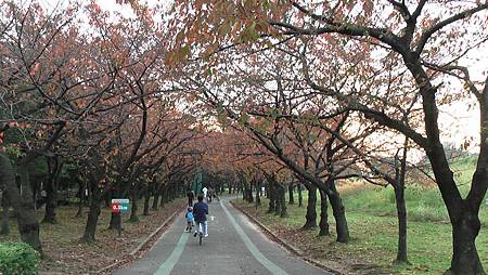 11/17庄內綠地公園