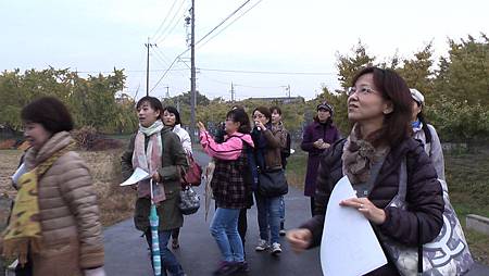 11/25祖父江銀杏樹