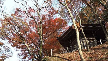 11/27紅葉狩り