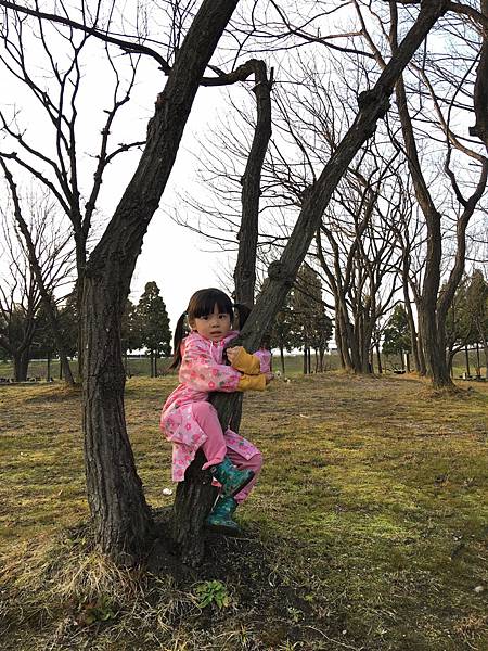 41お花見庄内緑地公園_170402_0023.jpg