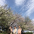 48庄内緑地公園お花見_170424_0067.jpg