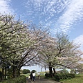 48庄内緑地公園お花見_170424_0070.jpg