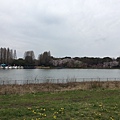 48庄内緑地公園お花見_170424_0085.jpg