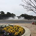 48庄内緑地公園お花見_170424_0101.jpg