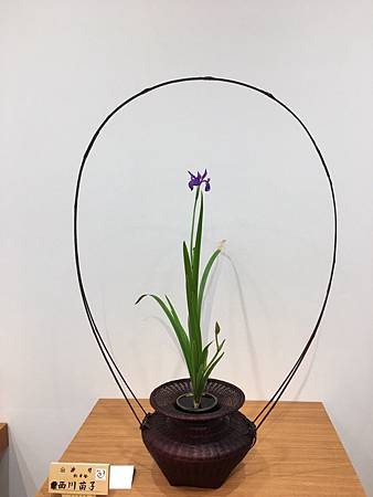 918池坊花展_170919_0049.jpg