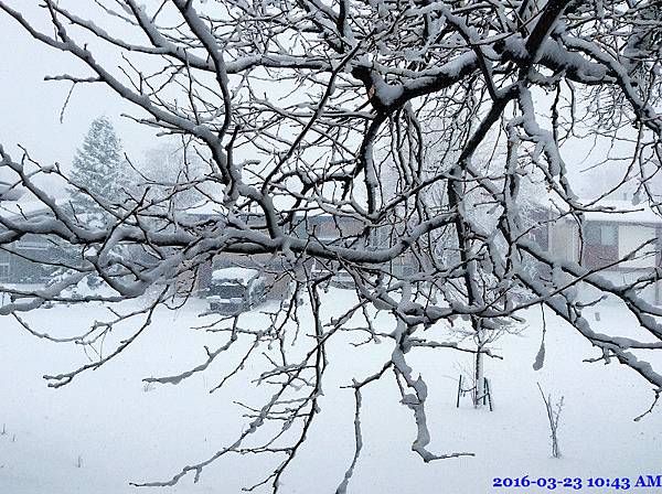 2016-03-23 10.43.10.jpg 2016-03-23 10.43.10.jpg