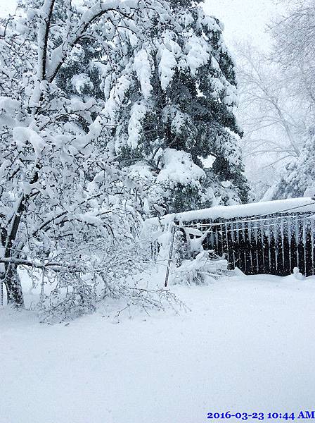 2016-03-23 10.44.25.jpg 2016-03-23 10.44.25.jpg