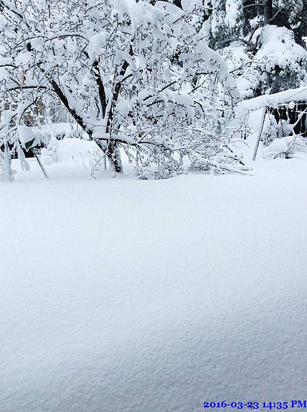 2016-03-23 14.35.54.jpg