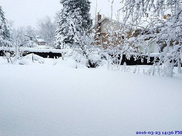 2016-03-23 14.36.12.jpg