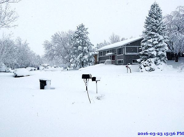 2016-03-23 15.36.51.jpg 2016-03-23 15.36.51.jpg