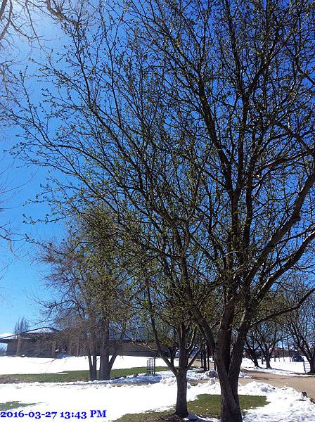 2016-03-27 13.43.35.jpg 2016-03-27 13.43.35.jpg