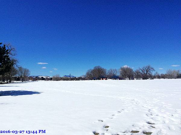 2016-03-27 13.44.41.jpg