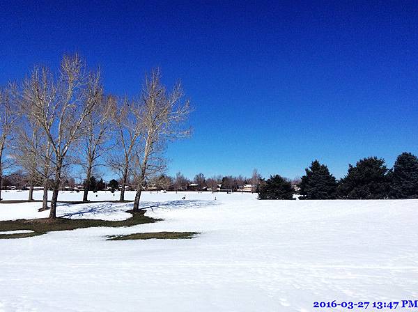 2016-03-27 13.47.41.jpg 2016-03-27 13.47.41.jpg